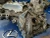 Lexus LS600 Front Used OEM Engine Cover 11310-38080