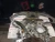 Nissan Pathfinder Used OEM Timing Cover 13500-JA11B