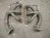 2005-2008 Porsche 997 3.8L Header Used Exhaust Manifold