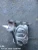 2016 Scion iM Used OEM Exhaust Manifold