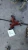 1992-1995 Toyota Paseo Used Exhaust Manifold