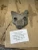 2002 Toyota Yaris 1.4L Diesel Used Timing Cover