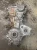 2011-2015 Toyota Prius 1.8L Used OEM Timing Cover