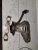 2015, 2020 Toyota / Lexus Prius / CT200H Used Exhaust Manifold