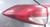 2016-2018 Hyundai Tucson LH Driver Quarter Panel Mounted Tail Light Lamp OEM used OEM tail light assembly