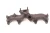 Volkswagen Passat 5.0L Used OEM Exhaust Manifold