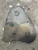 Volkswagen Transporter 1.9L Used Timing Cover