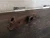 Volvo S60 2.0L Used Exhaust Manifold