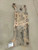 2012 - 2017 Toyota Camry Rear Crossmember Subframe OEM 5120606091