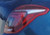 2017-2022 Buick Encore RH Passenger Tail Light Lamp OEM used OEM tail light assembly