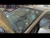 2001 Lexus RX300 Used Third Brake Light