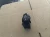2003-2006 Ford Expedition Sunroof Used Overhead Console