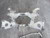 2012 Engine Cradle/Rear Crossmember Nissan Pathfinder S,4.0L,AT,RWD,REAR K-FRAME used OEM subframe and crossmember