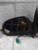 2003 GMC Envoy Power W/O Integral Turn Signal L. W/O Used OEM Left Door Mirror used OEM door mirror