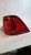 2011 Volkswagen Routan Quarter Panel Mounte Used OEM Right Tail Light Assembly used OEM tail light assembly