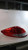 2017 Hyundai Veloster without LED Accent Lef Used OEM Left Tail Light Assembly used OEM tail light assembly