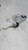 2007 Lexus IS250 Power R. W/O Automatic Dimmi Used OEM Right Door Mirror used OEM door mirror