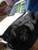 2013 Infiniti G37 Power Sdn W/Memory Right Used OEM Right Door Mirror used OEM door mirror