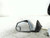 2013 Cadillac Cts Power Sdn Electric Folding Opt DL7 Used OEM Left Door Mirror used OEM door mirror