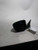 2016 Nissan Rogue Power VIN K 1ST Digit Korea Built Used OEM Left Door Mirror used OEM door mirror