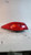 2017 Infiniti Q50 Quarter Panel Mou Used OEM Left Tail Light Assembly used OEM tail light assembly