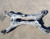 2010-2014 Nissan Maxima Engine Cradle Rear Crossmember Subframe Assembly OEM used OEM rear subframe and crossmember
