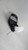 2015 Toyota Tacoma Power R. W/O Signal Lamp Texture Used OEM Right Door Mirror used OEM door mirror