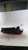 2021 Kia Soul Gasoline Model Incandescent Q Used OEM Right Tail Light Assembly used OEM tail light assembly