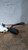 2015 Kia Rio Bucket Seat Passenger Buckle Used OEM Front Right Seat Belt Front used OEM seat belt