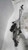 2016 Mercedes-Benz Mercedes C-Class 205 Type S Used OEM Windshield Wiper Motor used OEM wiper motor