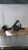 2017 Nissan Maxima Bucket Driver Retractor Used OEM Front Left Seat Belt Front used OEM seat belt