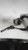 2013 Ford Fusion Bucket Energi Se Plug in Used OEM Front Left Seat Belt Front used OEM seat belt