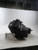 2018 Ford Fusion 1.5 Used OEM Air Cleaner Assembly used OEM air cleaner assembly