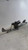 2012 Hyundai Veloster Wiper Motor -17 Black Used OEM Wiper Motors used OEM wiper motor