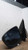 2022 Nissan Frontier manual black textured Left Grad Used OEM door mirror used OEM door mirror