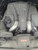 2014 Mercedes-Benz Mercedes cls-class 218 Ty Used OEM air bag used OEM air bag