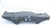 2002-2007 Subaru Impreza WRX Rear Crossmember Subframe OEM Used 02 03 04 05 0607 used OEM rear subframe and crossmember