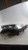 2019 Ford Escape halogen w/o LED accent Left Used OEM headlight used OEM headlight
