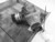 Used OEM Honda CR-V Transfer Case Assembly 2005 6-Month Warranty used OEM transfer case