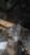Used 2014 Ford Escape Transfer Case Assembly OEM Black 6 Month Warranty used OEM transfer case