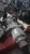 Used Lincoln MKS 2010 Differential Carrier Assembly OEM Black 147K miles used OEM differential carrier