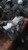 Hyundai Kona Differential Carrier Assembly OEM Used 2020 AWD Red 52000 Miles used OEM differential carrier
