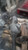 Used Hyundai Kona Differential Carrier Assembly 2019 OEM Grey 84000 Miles used OEM differential carrier
