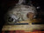 Used OEM Ford F150 Transfer Case Assembly 2005 6L3Z7A195CA 155K miles used OEM transfer case