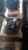 2001 Ford Explorer OEM Transfer Case Assembly 6-Month Warranty Used used OEM transfer case