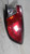 2022 Ford Escape quarter panel mounted Righ Used OEM tail light used OEM tail light