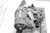 2009 Chevrolet Suburban 1500 OEM Transfer Case Assembly Used Black 189K Miles used OEM transfer case