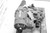 2009 Chevrolet Tahoe OEM Transfer Case Assembly Black Used 6-Month Warranty used OEM transfer case