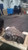 Used 2003 Ford F150 Transfer Case OEM 4.6L 114K Miles White OEM OEM used OEM transfer case