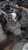 Kia Sorento 2017 Transfer Case Assembly OEM Silver Used 6 Month Warranty used OEM transfer case